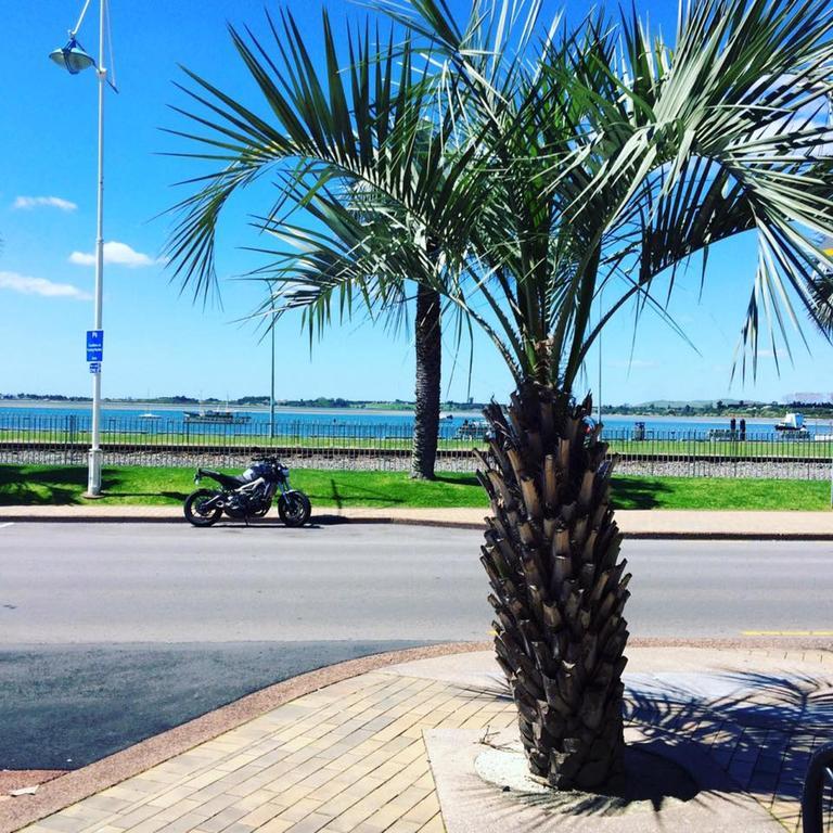 Harbourside City Backpackers Tauranga Zewnętrze zdjęcie